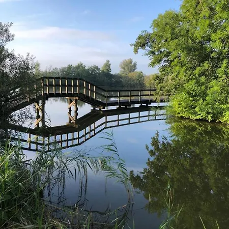 Met Sauna Op Recreatiepark De Wielen - 64 펜션