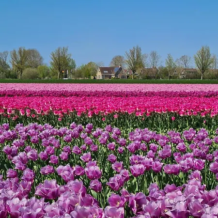 펜션 Met Sauna Op Recreatiepark De Wielen - 64 *