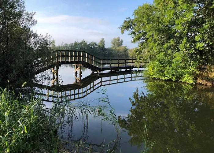 Met Sauna Op Recreatiepark De Wielen - 64 Vakantiehuis