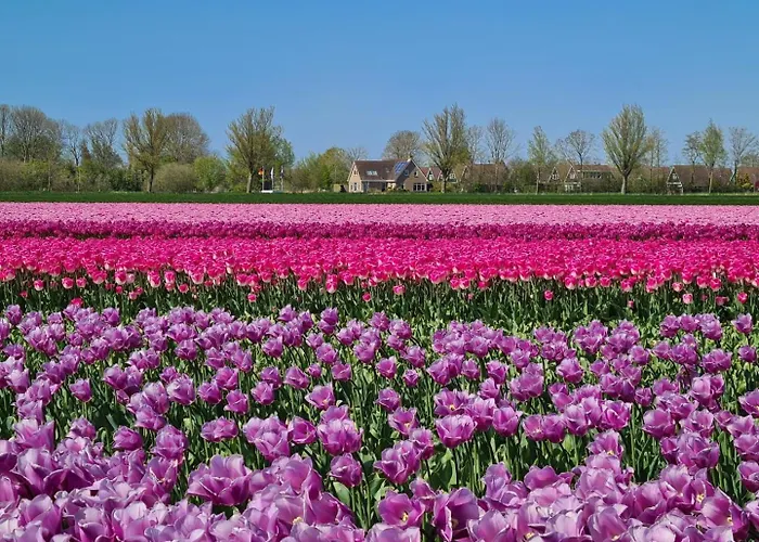 Vakantiehuis Met Sauna Op Recreatiepark De Wielen - 64 *
